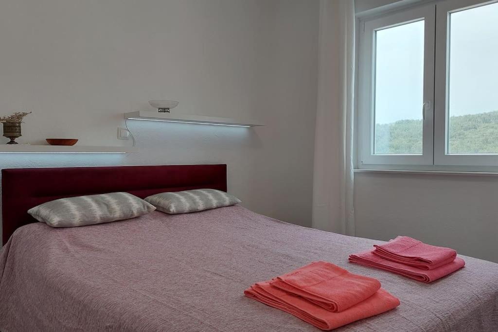 טרוגיר Apartment Vista Oasis With Pool And Terrace מראה חיצוני תמונה