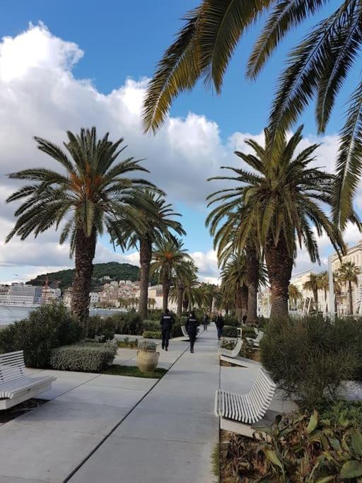 טרוגיר Apartment Vista Oasis With Pool And Terrace מראה חיצוני תמונה